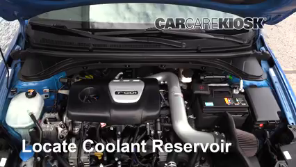 2018 Hyundai Elantra Sport 1.6L 4 Cyl. Turbo Coolant (Antifreeze) Flush Coolant